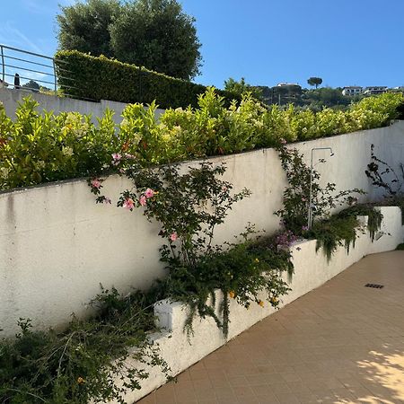 Villa Dei Fiori Zambrone Eksteriør bilde