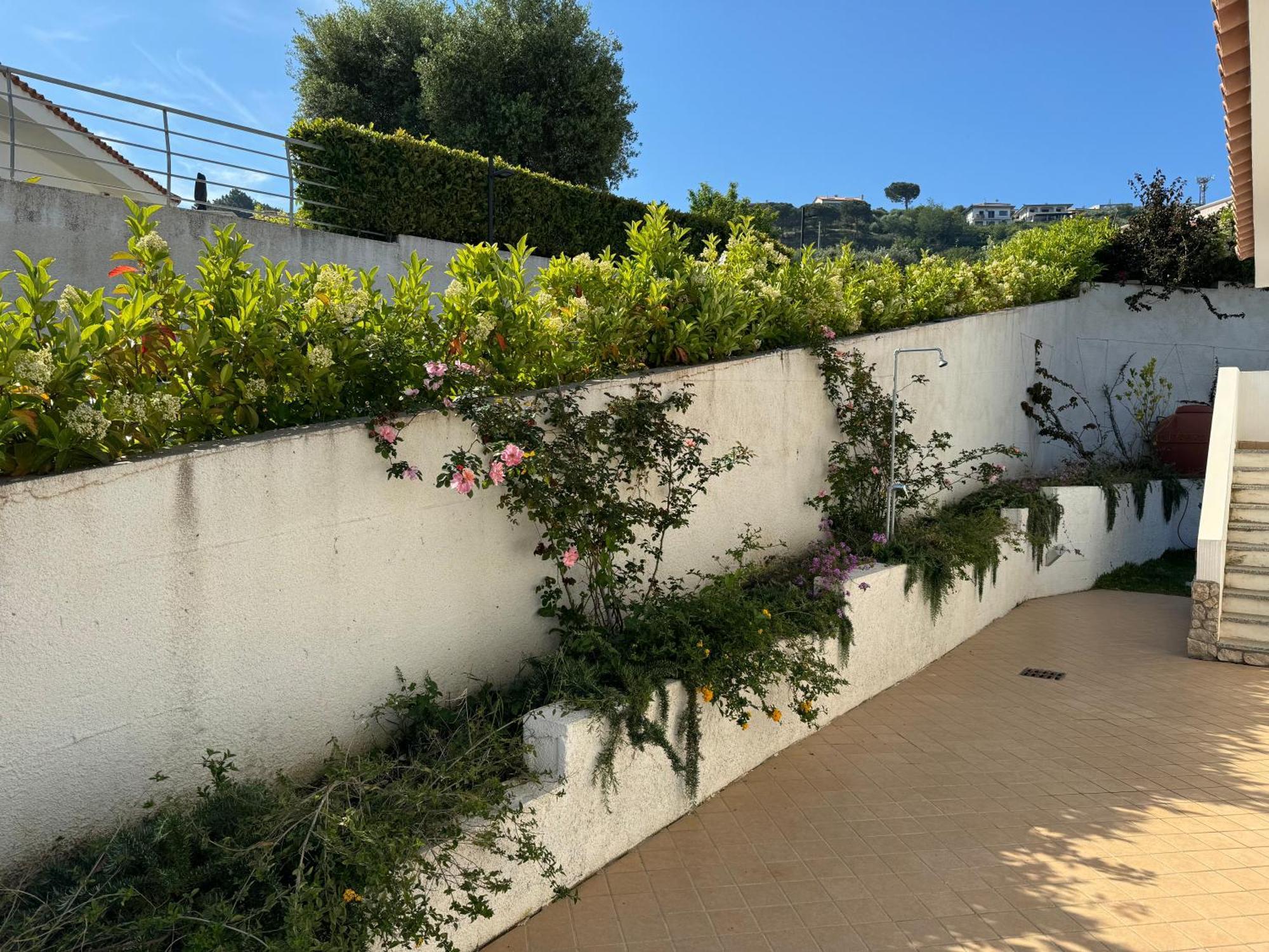 Villa Dei Fiori Zambrone Eksteriør bilde
