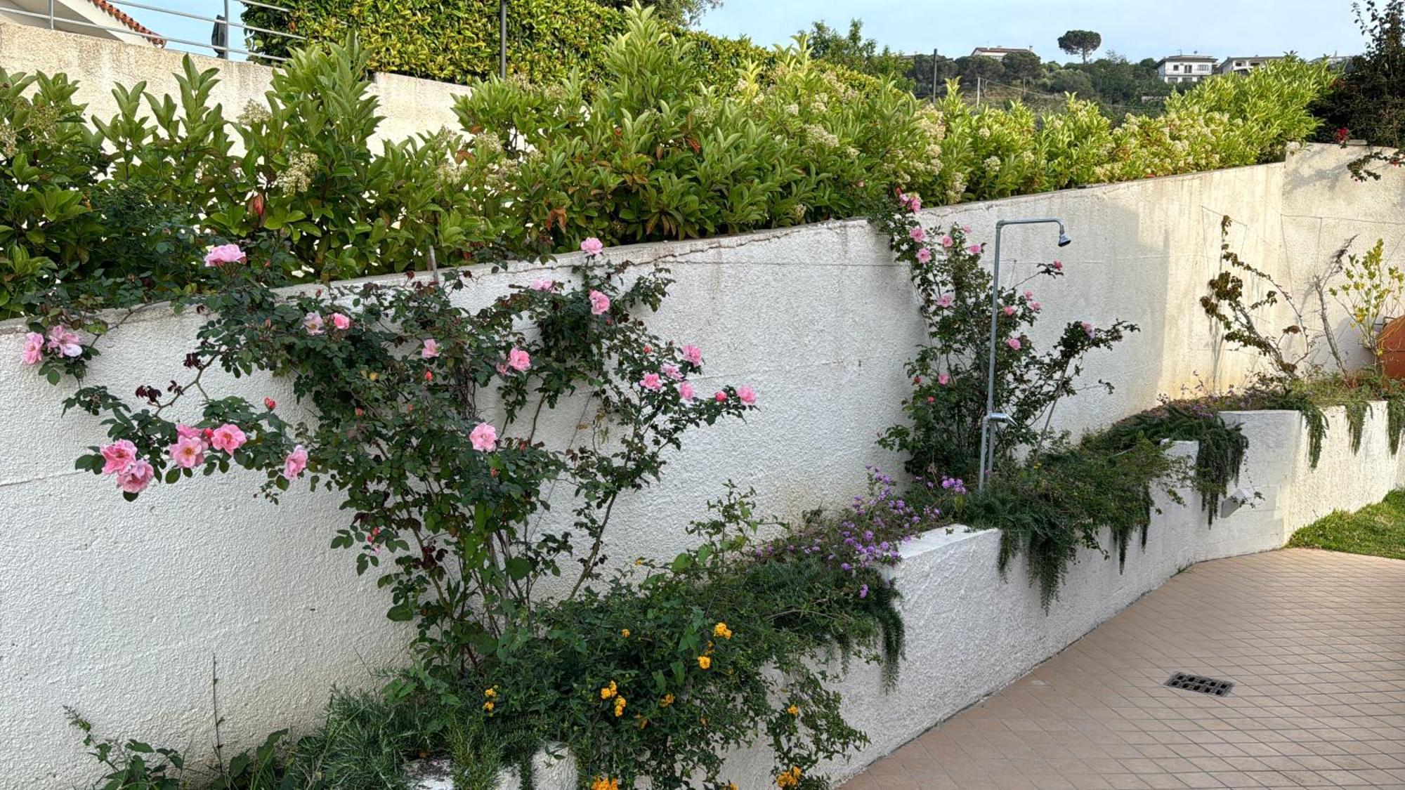 Villa Dei Fiori Zambrone Eksteriør bilde