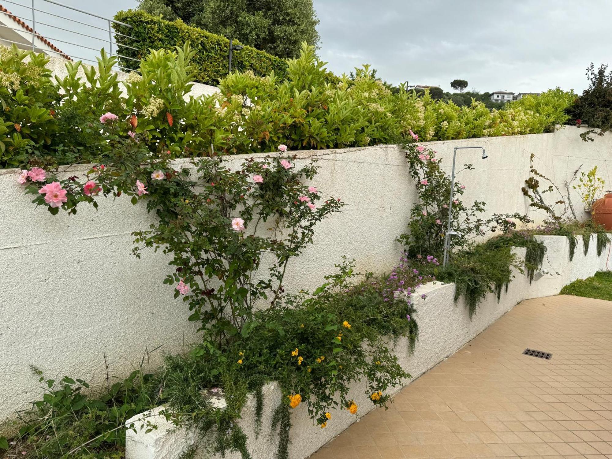 Villa Dei Fiori Zambrone Eksteriør bilde